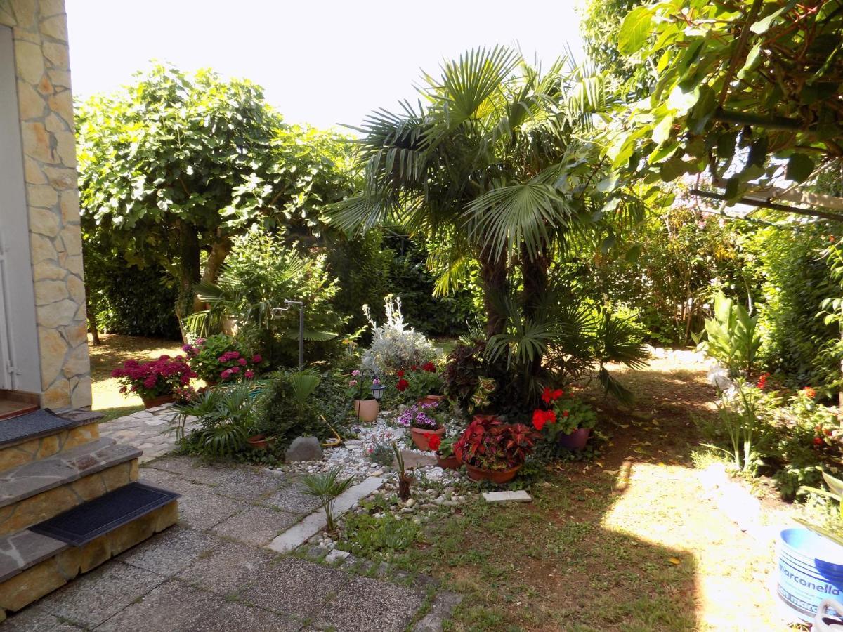 Oriella Apartmans And Room Novigrad Istria Eksteriør bilde